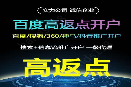 SEM投放策略：成功案例解析